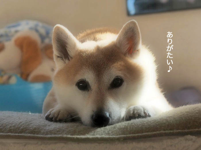 16日ブログ４