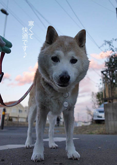 24日ブログ2