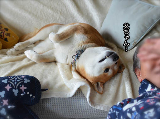 9日ブログ３.jpg