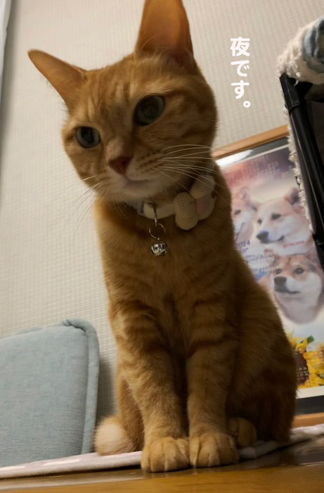 22日のブログ４