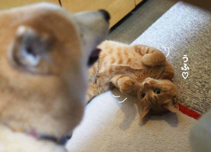 7日夕ブログ３
