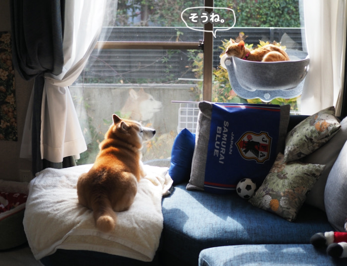 3日ブログ２
