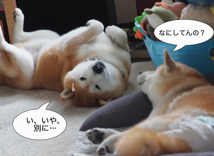 16日ブログ１０