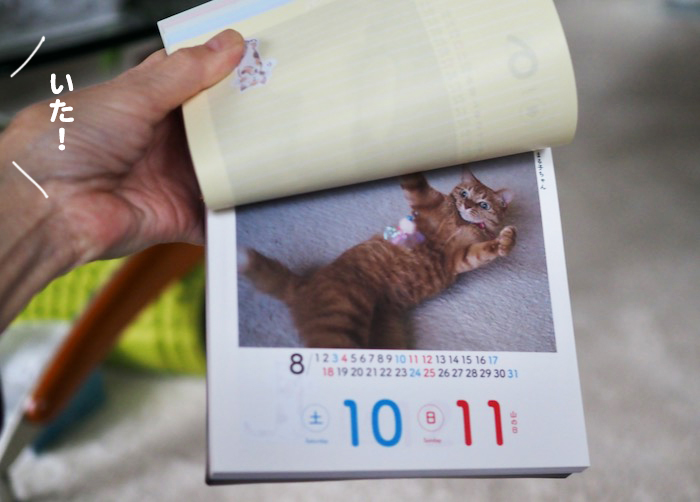 10日ブログ５