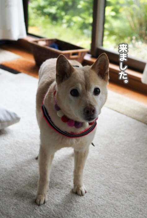 24日夕ブログ２