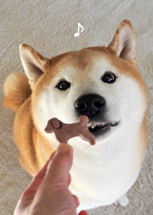 16日ブログ9