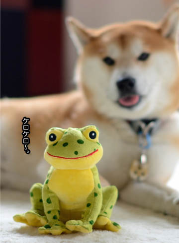 24日ブログ2.jpg