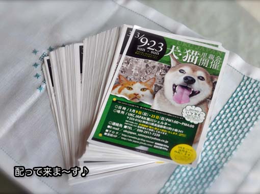 8日ブログ5.jpg