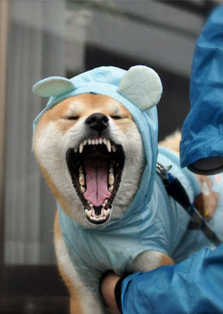 23日ブログ2.jpg