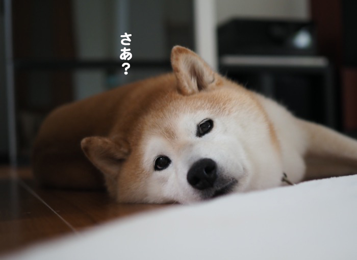 16日ブログ４