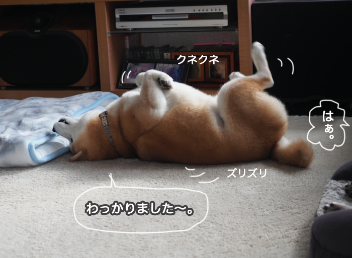16日ブログ１３