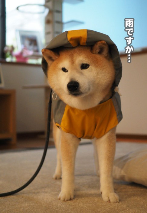 25日ブログ２