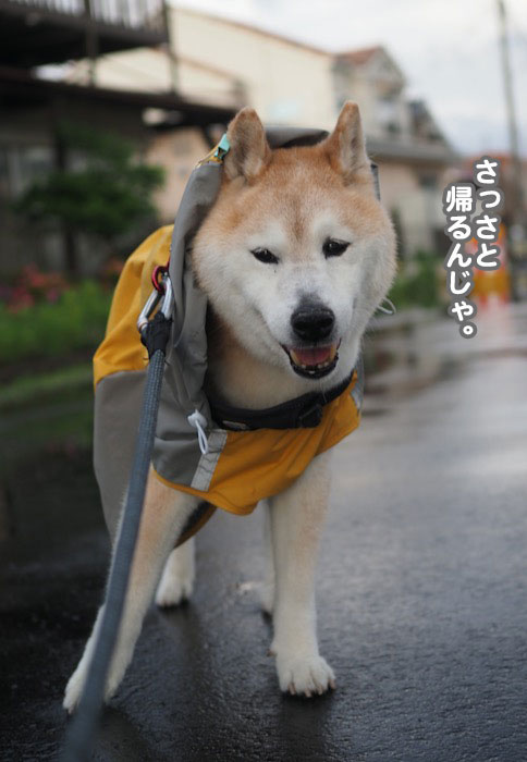14日夕ブログ６