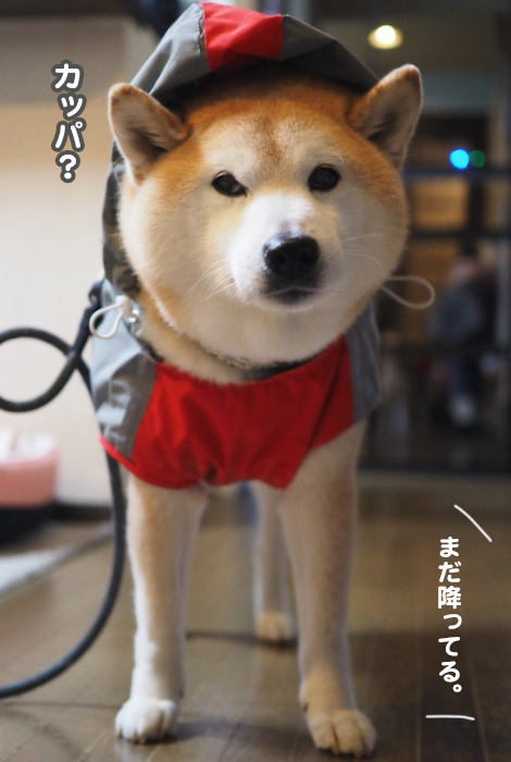17日ブログ２