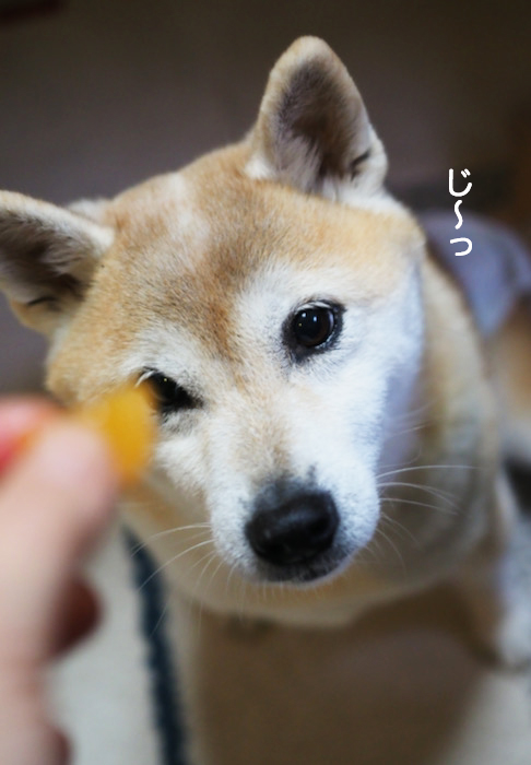 27日夜ブログ４