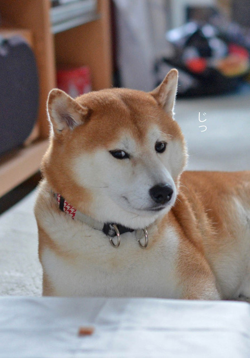 9日ブログ2