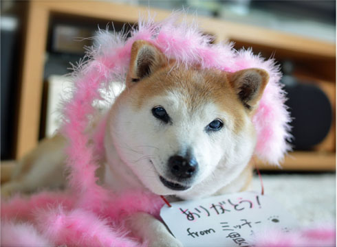 25日ブログ7.jpg