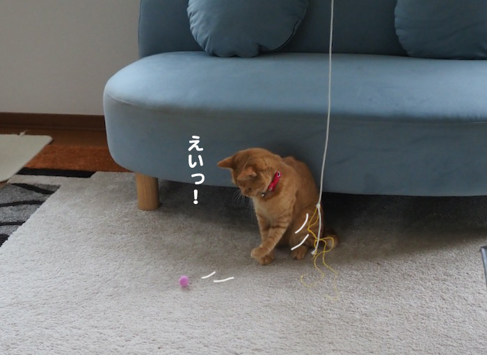 9日夕ブログ１１