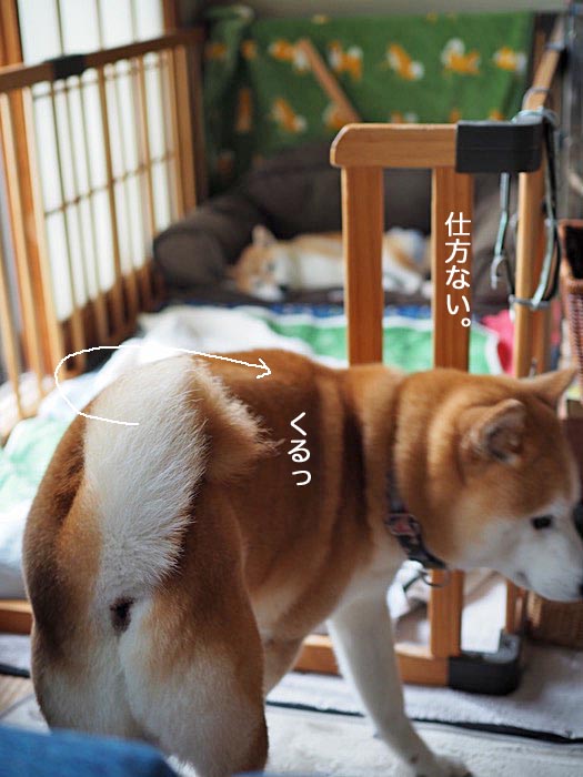 10日ブログ８