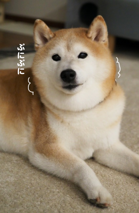 16日夕ブログ２