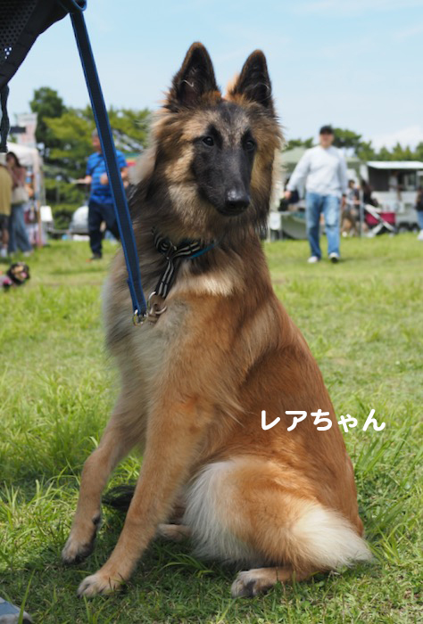12日夕ブログ１１
