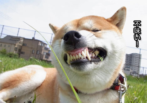 27日ブログ9.jpg