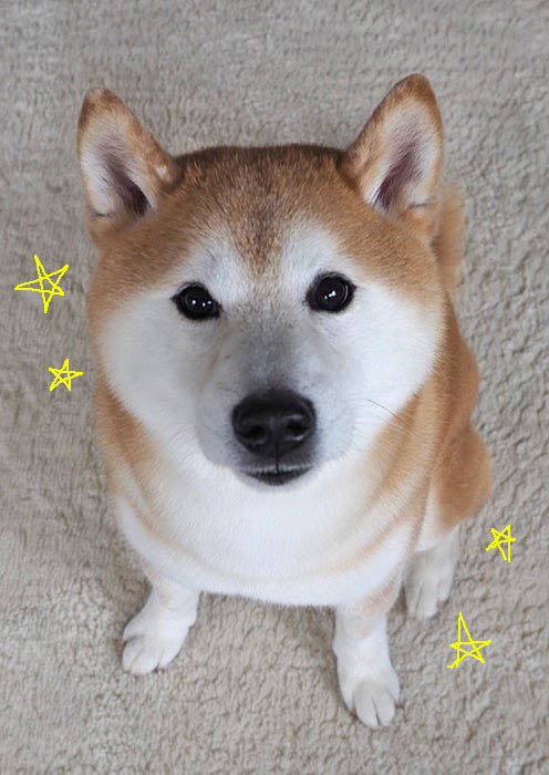 13日午後ブログ１３