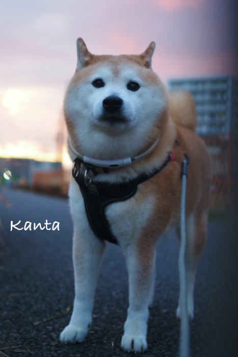 14日ブログ４