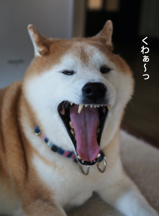 14日ブログ３