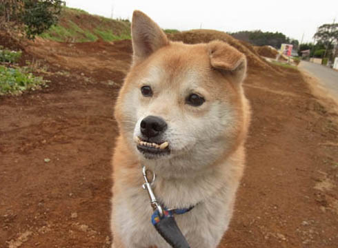 27日ブログ11.jpg