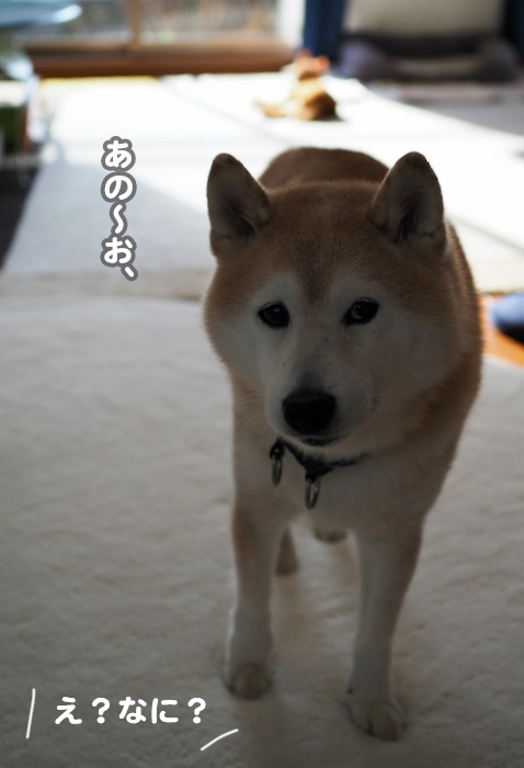 10日夕ブログ２