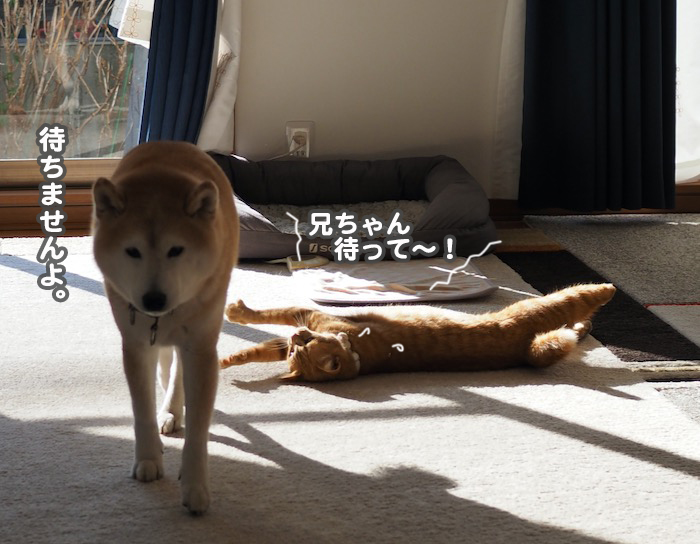 28日夕ブログ１３