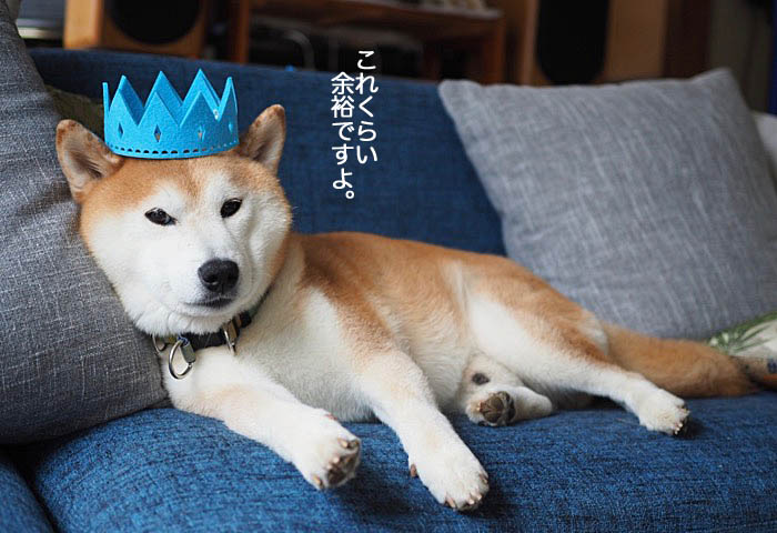 7日ブログ１３