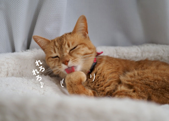 19日夕ブログ３