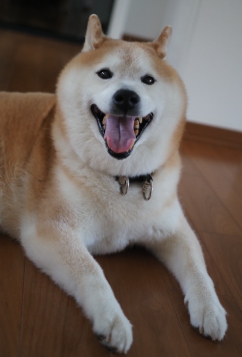 4日ブログ１