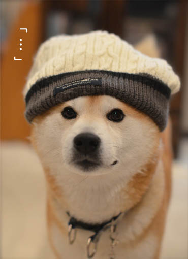 28日ブログ10.jpg