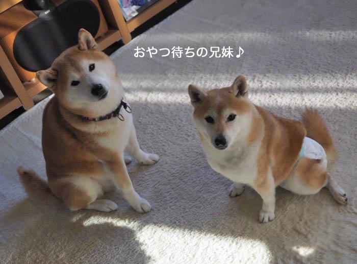 2日夜ブログ4