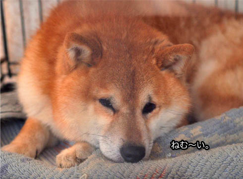 19日ブログ7.jpg