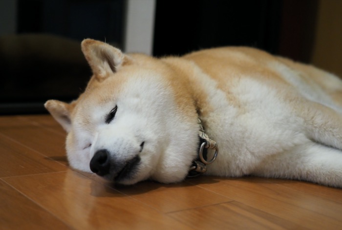 3日夕ブログ７