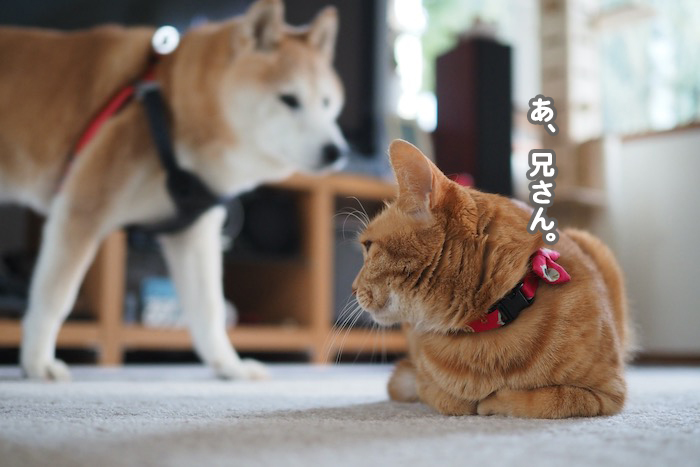 30日夕ブログ３