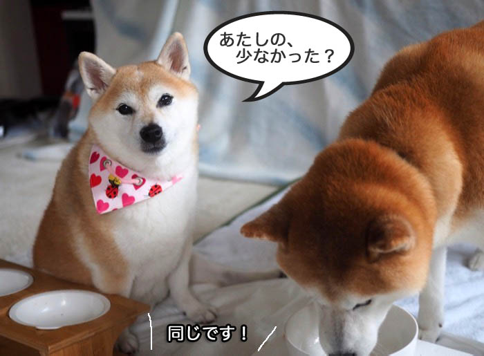 24日夜ブログ８