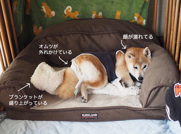 14日ブログ１
