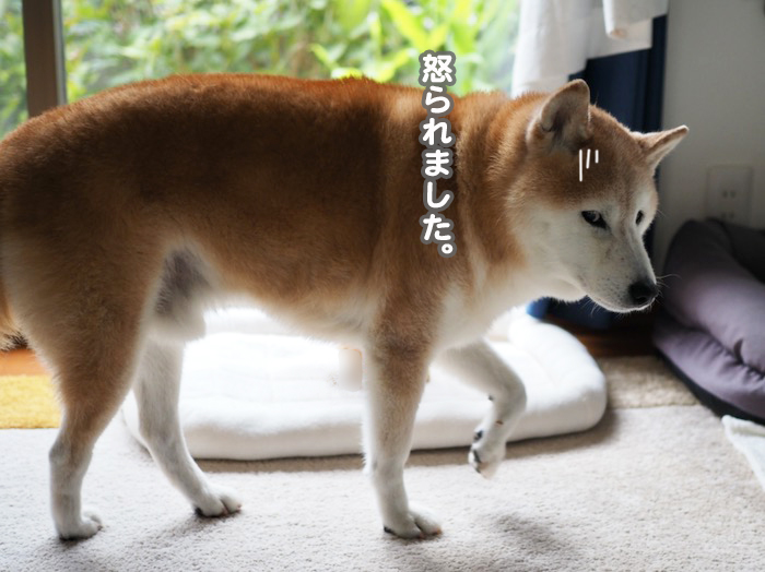 2日夕ブログ１６