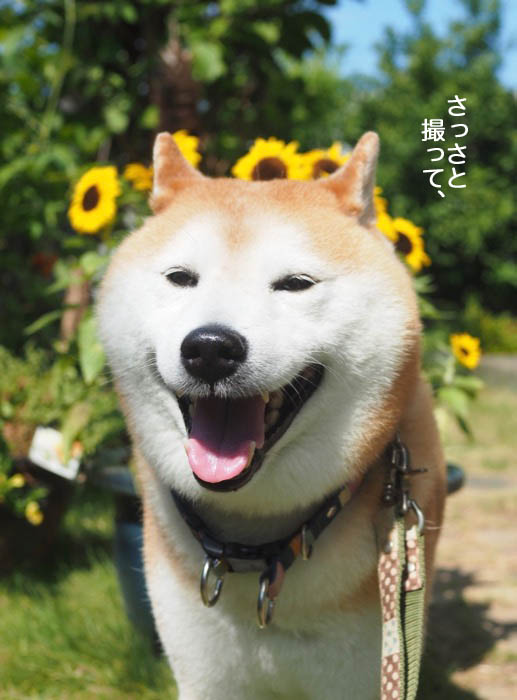 6日ブログ３
