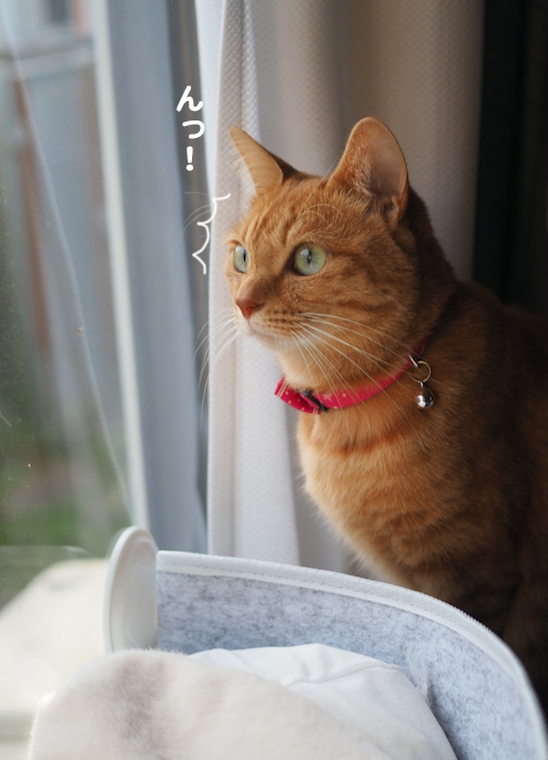 4日夕ブログ２