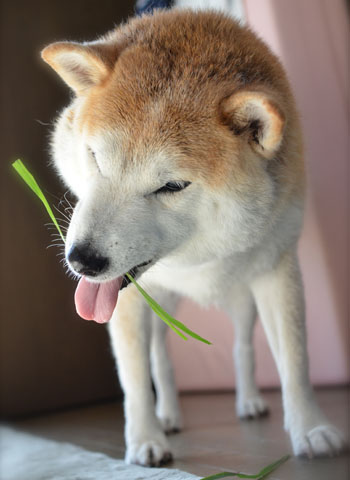 12日ブログ9.jpg