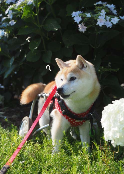 16日ブログ３