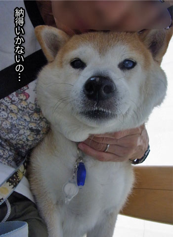 21日ブログ8.jpg