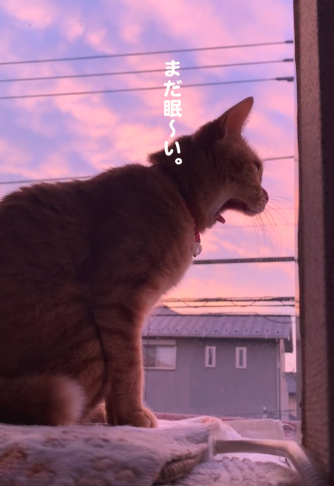 16日ブログ３