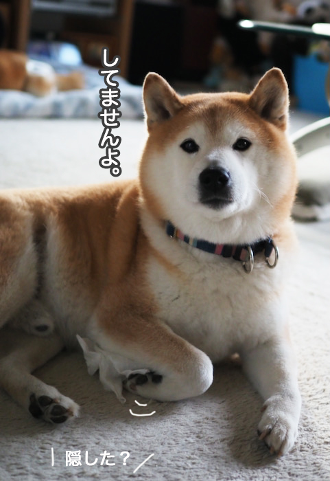 16日夜ブログ７